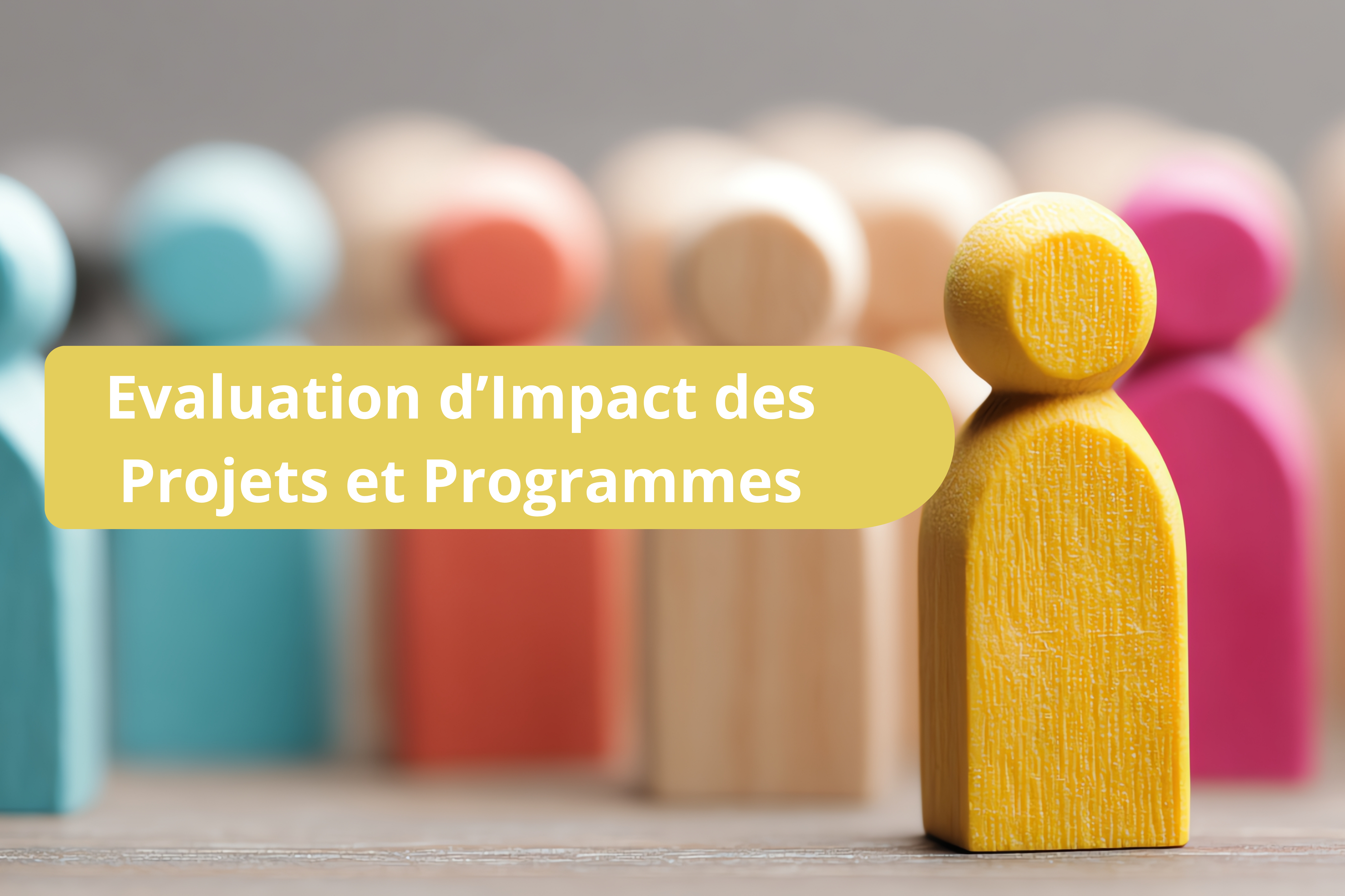 Évaluation d’Impact des Programmes et Projets de Développement