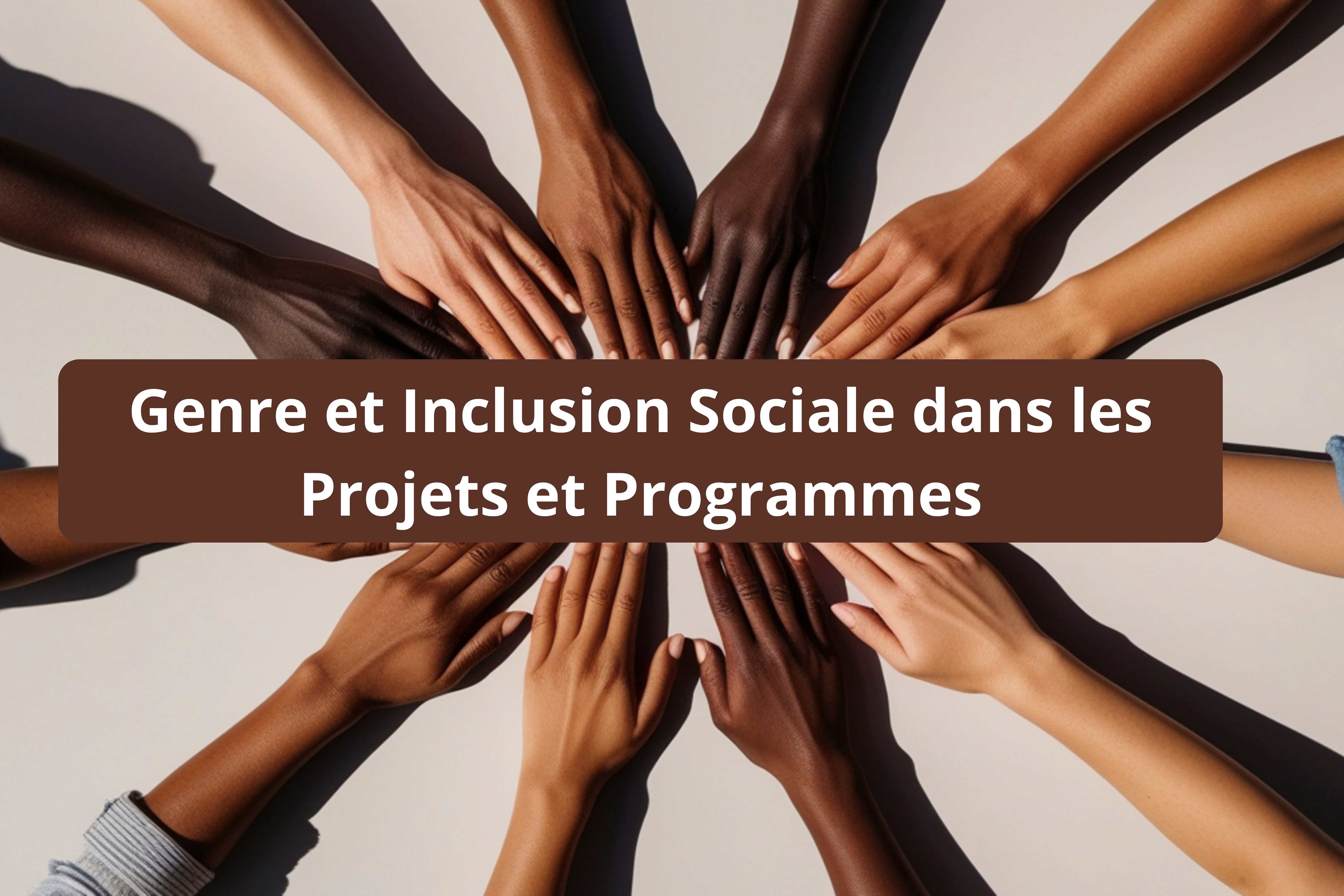 Intégration du Genre  dans les Programmes et Projets de Développement.